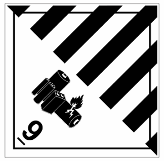 Class 9 Lithium Battery